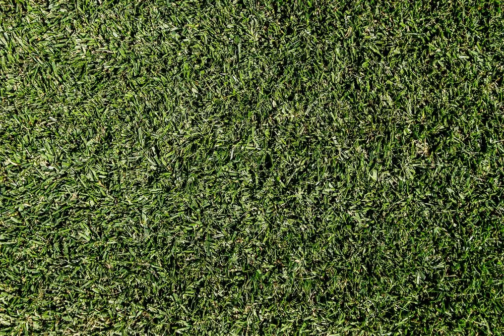 Reliable lawn mowing service with custom design in San Jacinto, CA by Quality Turf Sod Farm