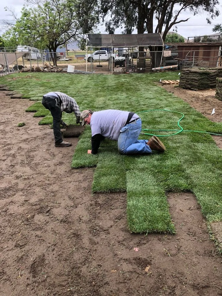 Trusted yard maintenance in San Jacinto, CA - Quality Turf Sod Farm
