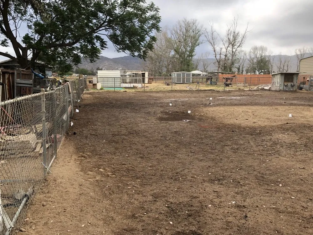 Reliable yard cleanup service in San Jacinto, CA by Quality Turf Sod Farm