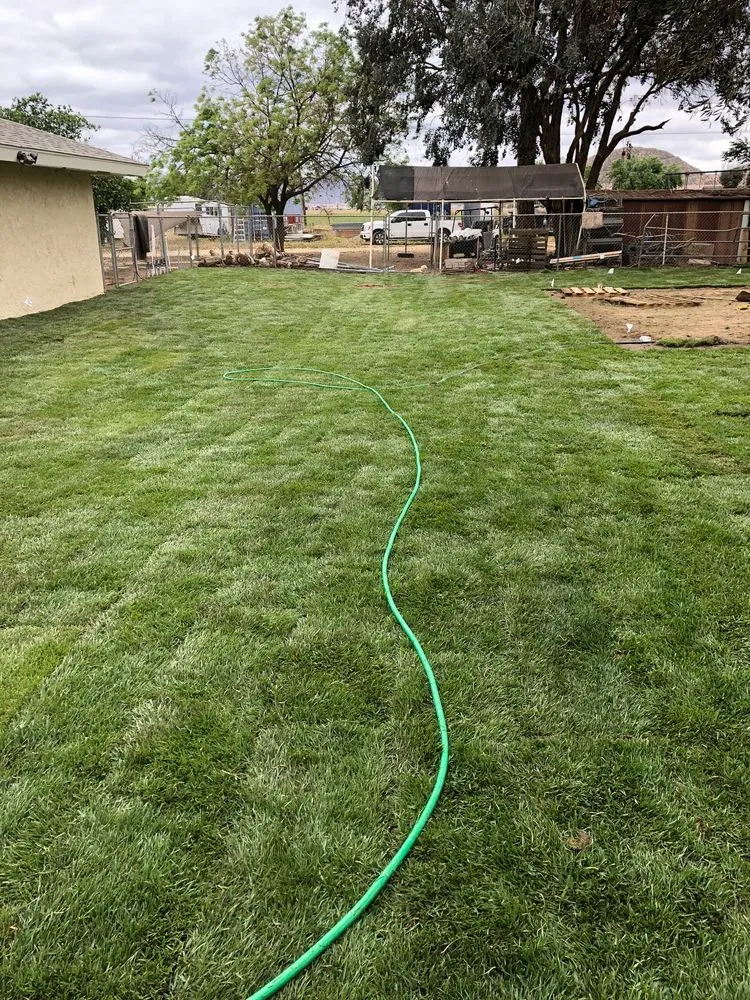 Affordable lawn mowing service in San Jacinto, CA by Quality Turf Sod Farm
