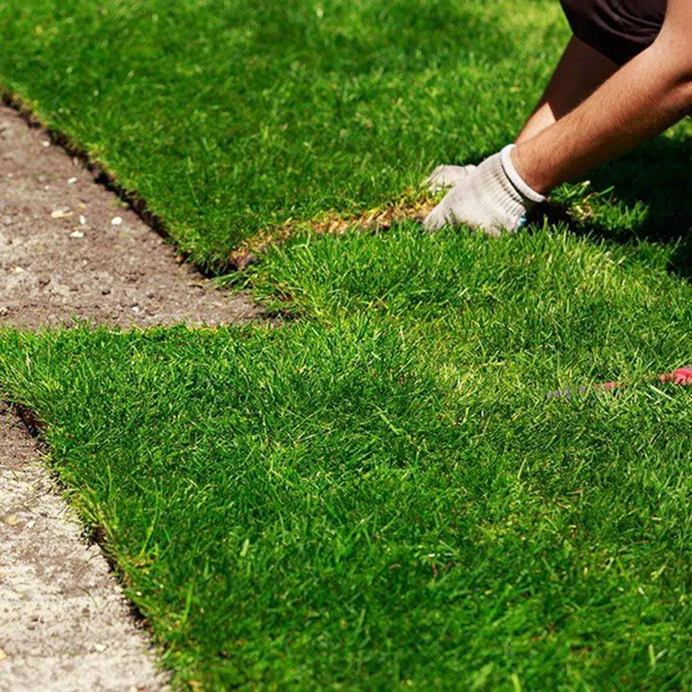 Trusted landscaping services for beautiful yards across San Jacinto, CA - Quality Turf Sod Farm