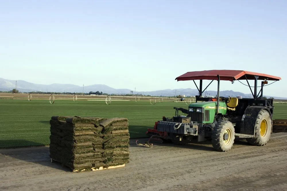 Trusted outdoor landscaping with custom design in San Jacinto, CA by Quality Turf Sod Farm