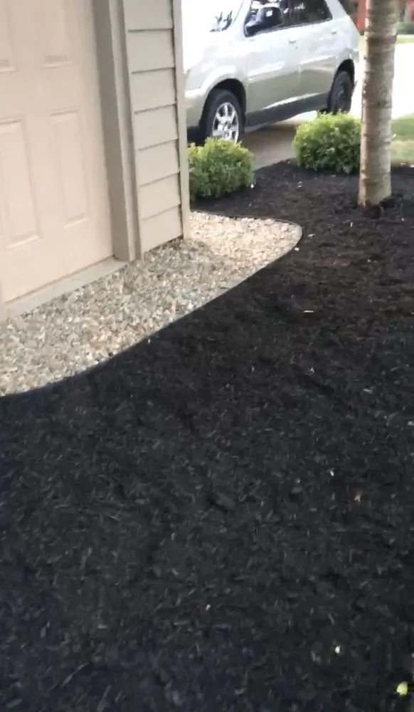 Local yard cleanup service in Litchfield, OH - Quality Value Landscaping
