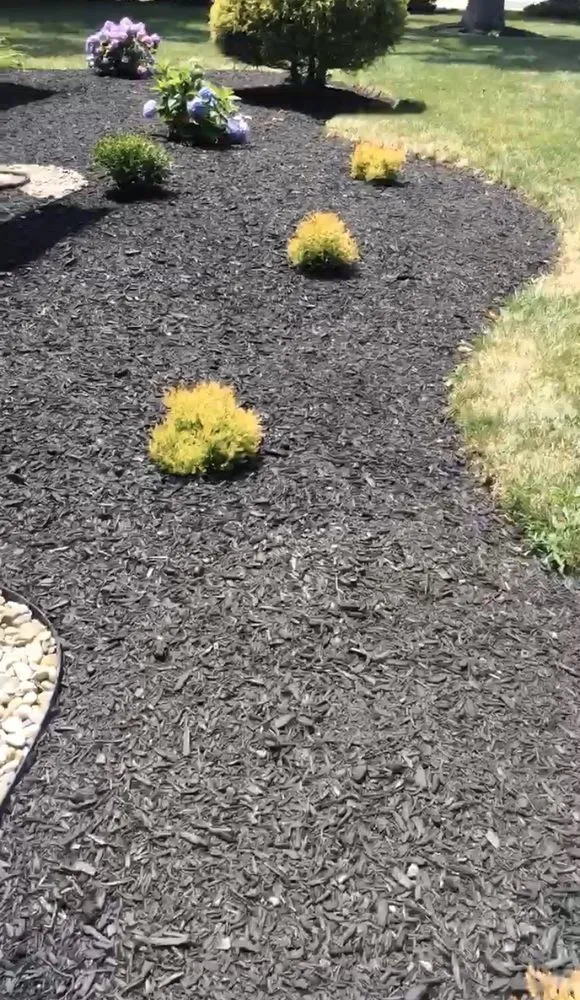 Local yard cleanup service for residential properties across Litchfield, OH - Quality Value Landscaping