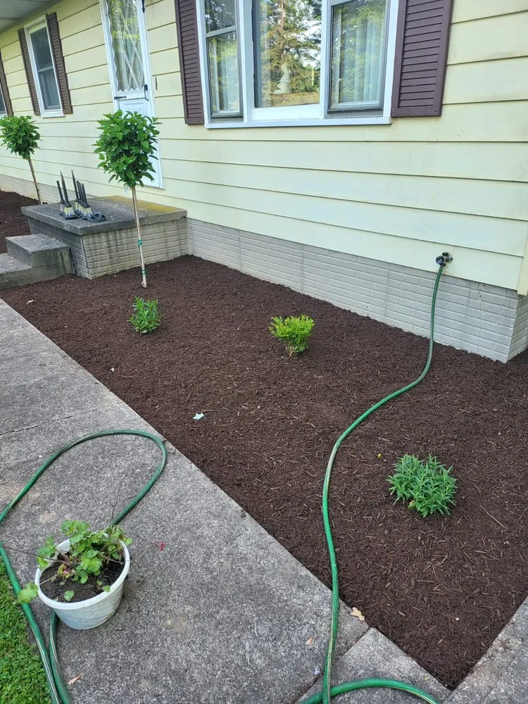 Expert lawn mowing service experts serving Litchfield, OH - Quality Value Landscaping