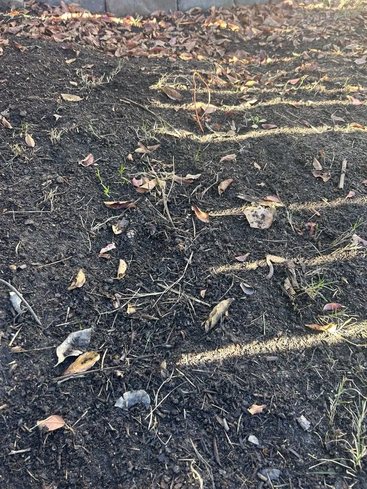 Affordable garden landscaping with custom design in Lake Elsinore, CA by Quality Yard and Home Maintenance