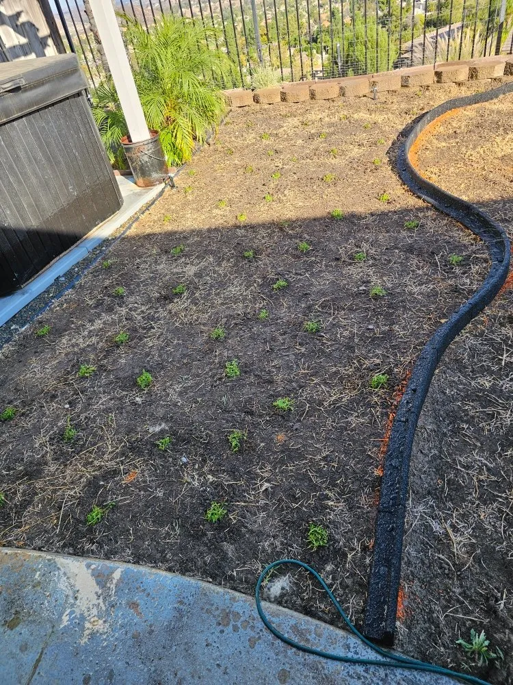 Affordable lawn mowing service in Lake Elsinore, CA by Quality Yard and Home Maintenance