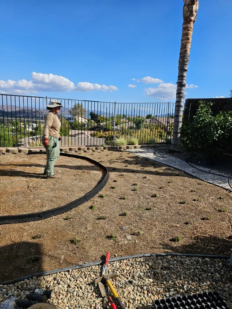 Reliable outdoor landscaping for beautiful yards in Lake Elsinore, CA by Quality Yard and Home Maintenance