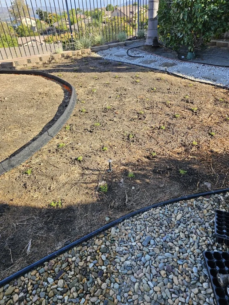 Professional garden landscaping in Lake Elsinore, CA - Quality Yard and Home Maintenance