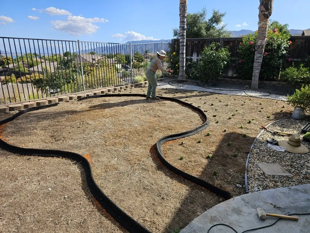 Top-rated residential landscaping for residential properties in Lake Elsinore, CA by Quality Yard and Home Maintenance