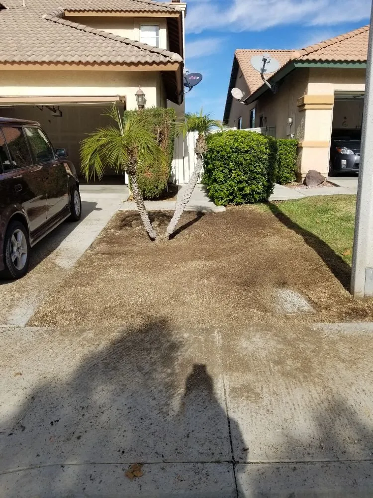 Local outdoor landscaping in Lake Elsinore, CA by Quality Yard and Home Maintenance