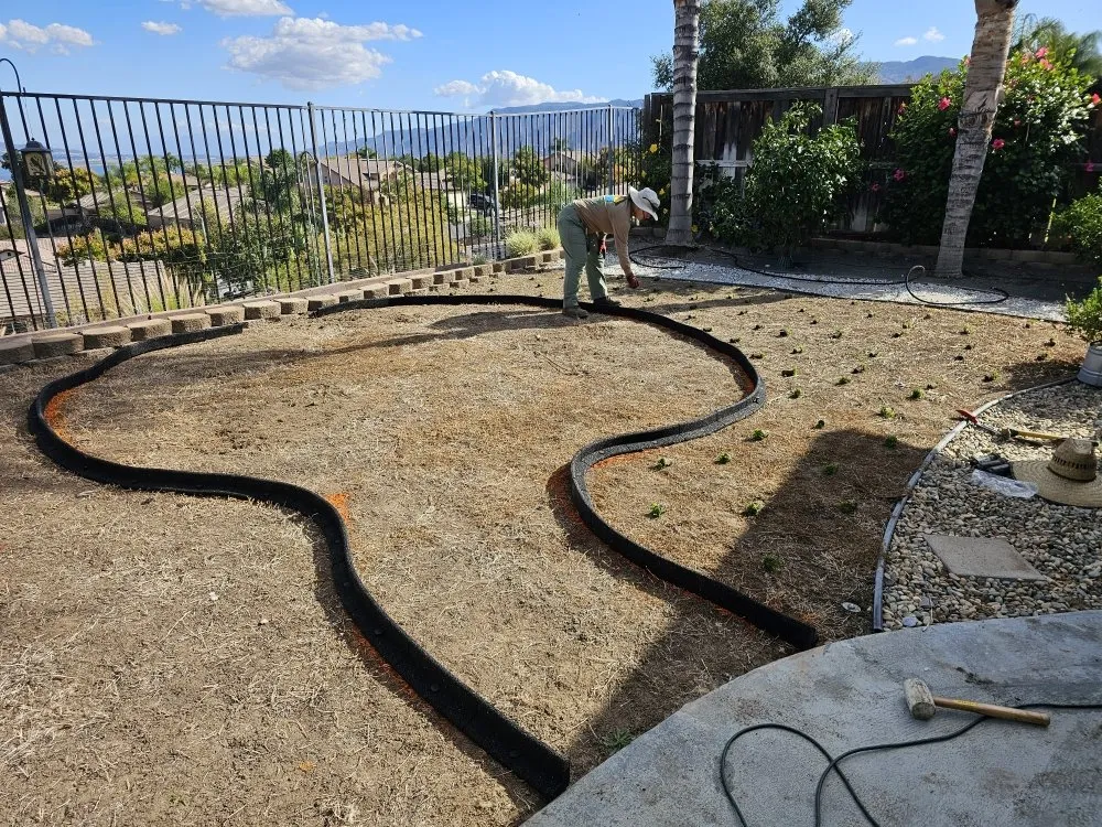 Affordable lawn mowing service experts serving Lake Elsinore, CA - Quality Yard and Home Maintenance