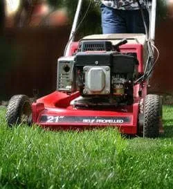 Trusted yard maintenance experts serving Lake Elsinore, CA - Quality Yard and Home Maintenance