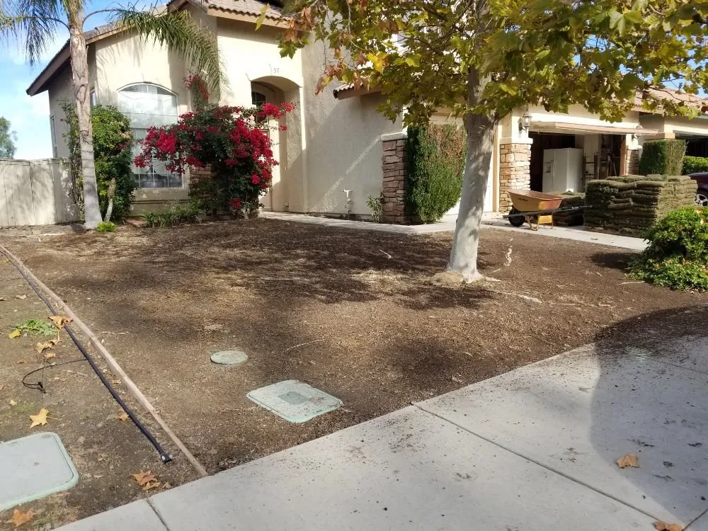 Professional lawn care service experts serving Lake Elsinore, CA - Quality Yard and Home Maintenance