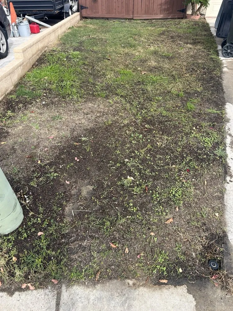 Expert residential landscaping in Lake Elsinore, CA by Quality Yard and Home Maintenance