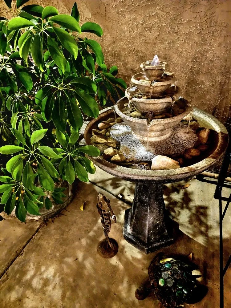 Professional yard cleanup service in Lake Elsinore, CA by Quality Yard and Home Maintenance