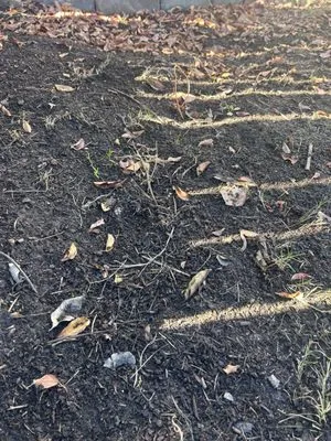 Quality Yard and Home Maintenance