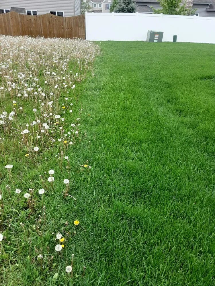 Reliable lawn mowing service for outdoor upgrades across Pataskala, OH - Quality Yard and Home Maintenance