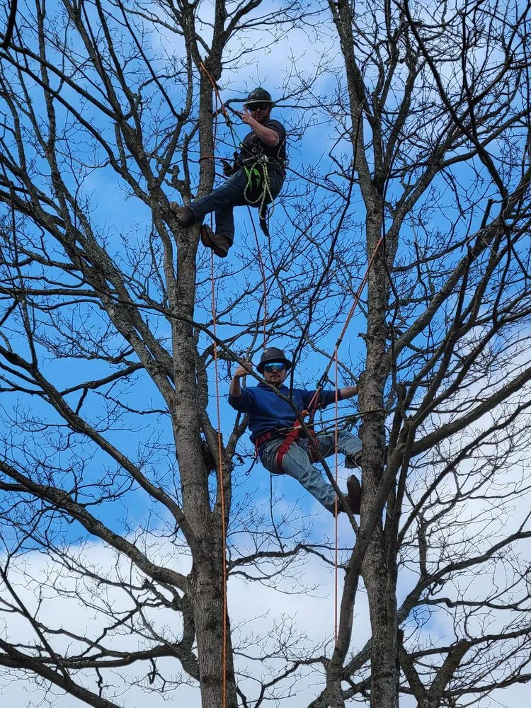 Top-rated garden landscaping experts serving Pataskala, OH - Quality Yard and Home Maintenance