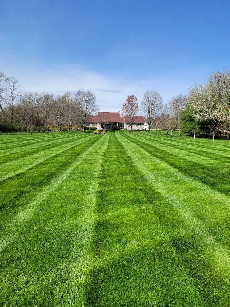 Professional residential landscaping for beautiful yards in Pataskala, OH by Quality Yard and Home Maintenance