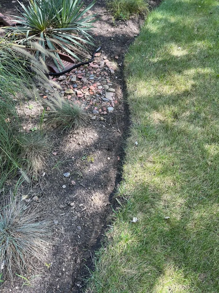 Affordable yard cleanup service experts serving Pataskala, OH - Quality Yard and Home Maintenance