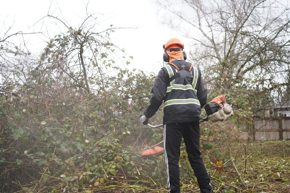 Professional landscape design in Portland, OR by Quality Yard Services