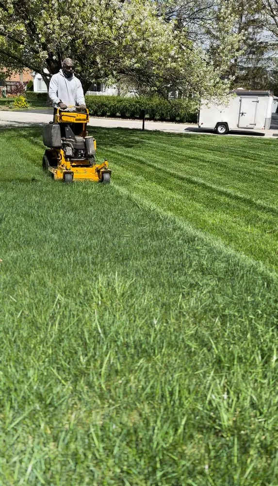 Expert landscaping services in Chicago, IL by QualityWorks Trademark