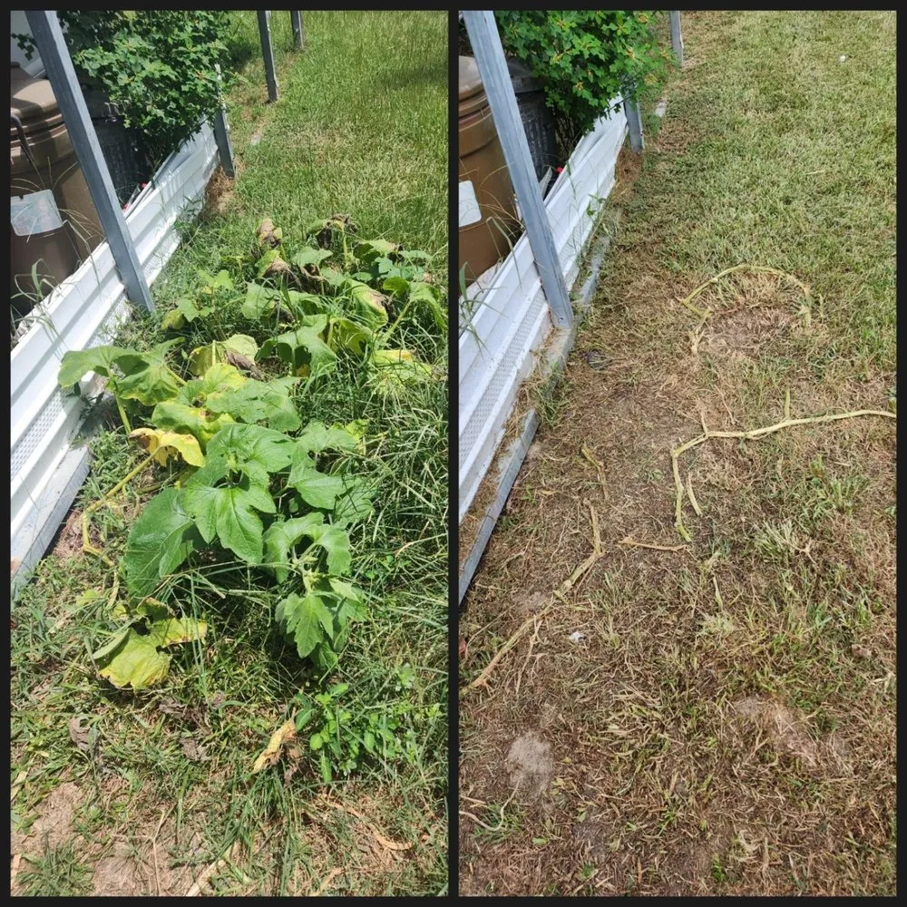 Affordable yard cleanup service with custom design across Bailey, NC - Quan’s Lawn Care