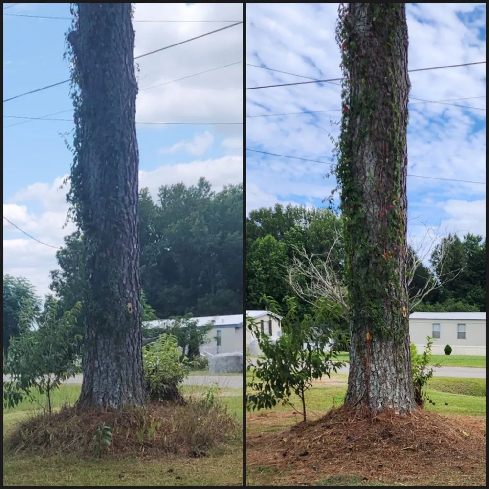 Trusted landscape design in Bailey, NC - Quan’s Lawn Care