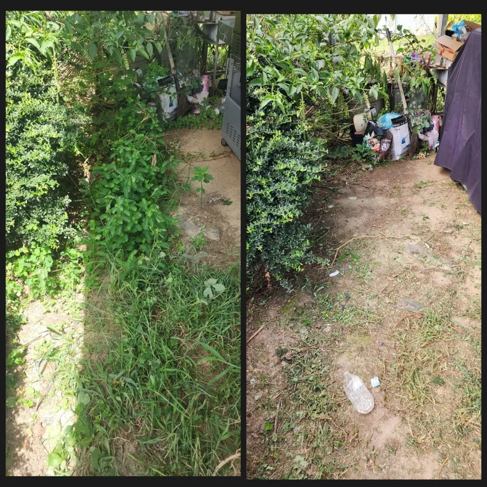 Professional lawn care service in Bailey, NC - Quan’s Lawn Care