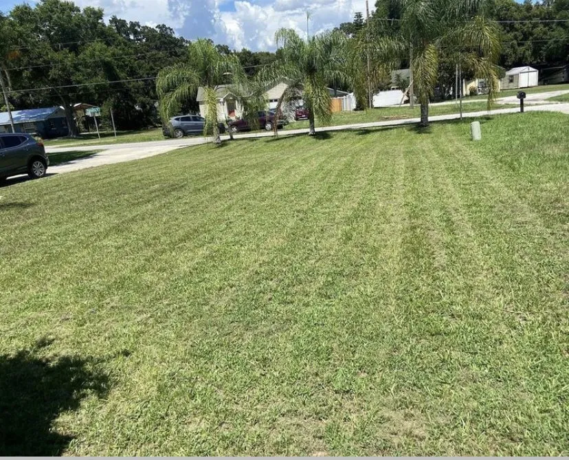 Top-rated landscape installation with custom design across Auburndale, FL - Quans Mowing