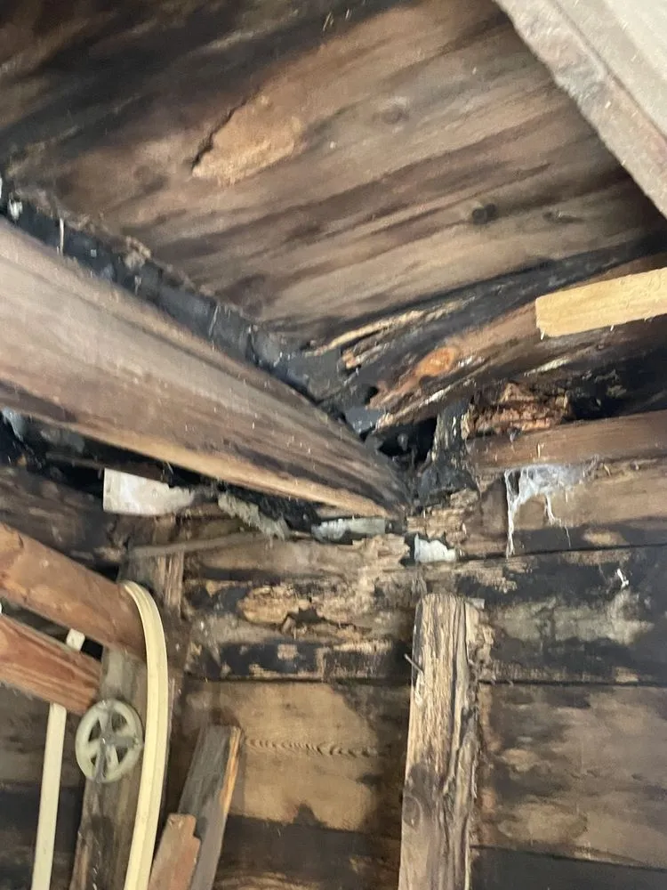 Top-rated yard cleanup service in Lebanon, ME - Quantum Home Services