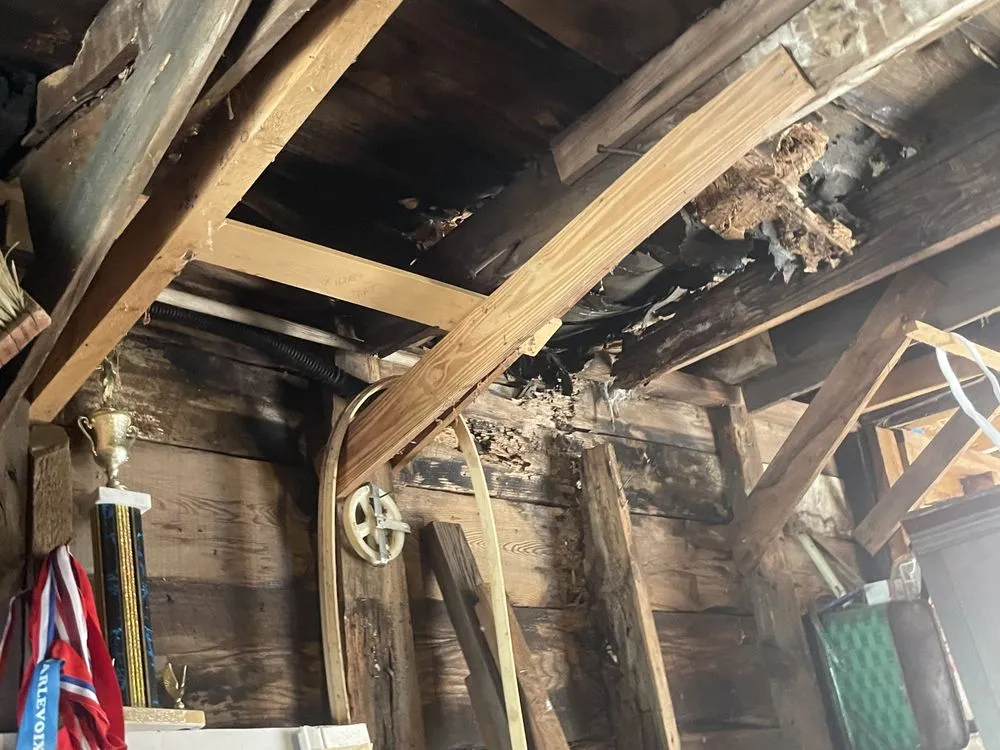 Professional yard maintenance in Lebanon, ME - Quantum Home Services