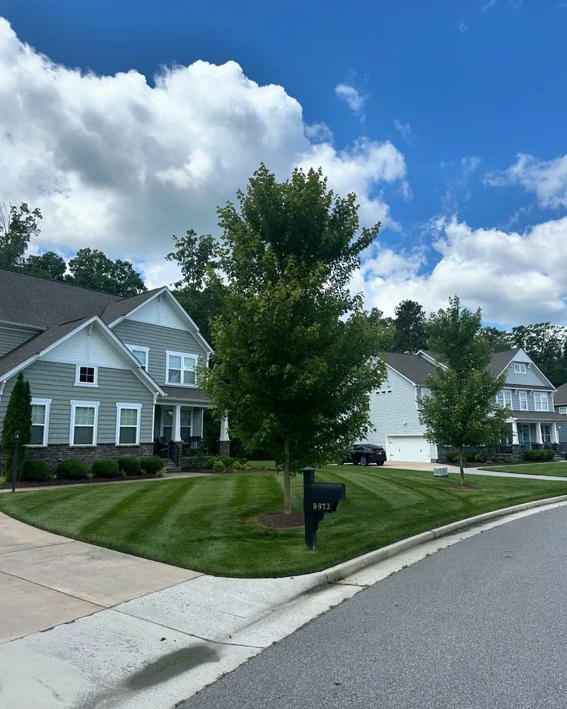 Affordable garden landscaping experts serving Richmond, VA - Quantum Landscaping & Lawn Care