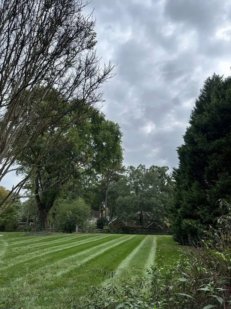 Local lawn care service for homes in Richmond, VA by Quantum Landscaping & Lawn Care