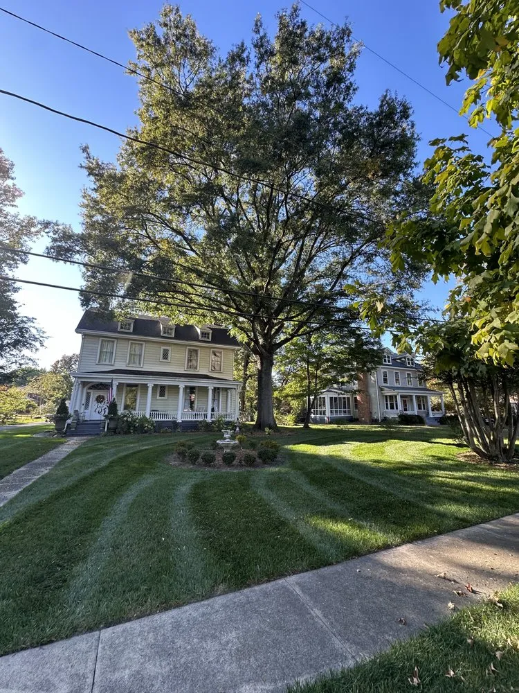 Affordable yard maintenance in Richmond, VA - Quantum Landscaping & Lawn Care