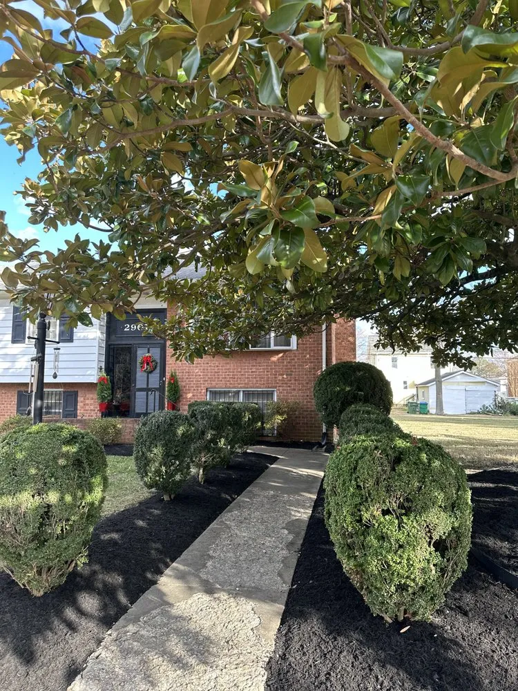 Trusted yard cleanup service for beautiful yards across Richmond, VA - Quantum Landscaping & Lawn Care