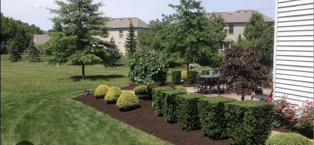 Reliable yard cleanup service in Buford, GA - Quantum Landscaping