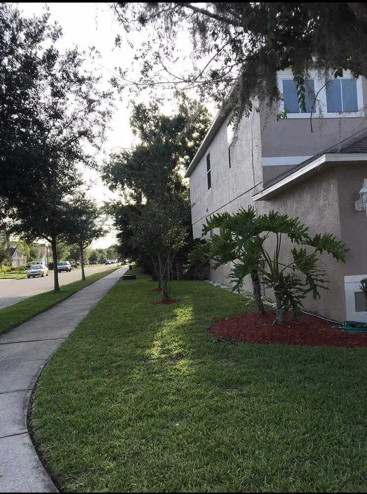 Local landscape installation experts serving Buford, GA - Quantum Landscaping