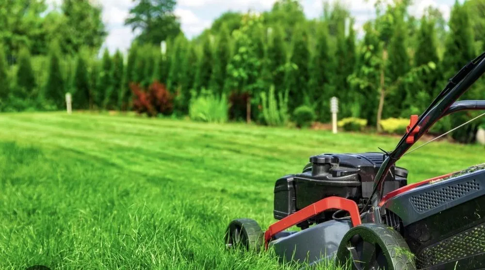 Affordable landscape installation with custom design across Buford, GA - Quantum Landscaping