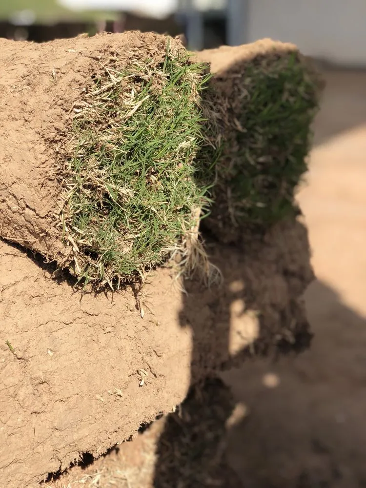 Reliable residential landscaping for beautiful yards across Broken Arrow, OK - Quantum Sod