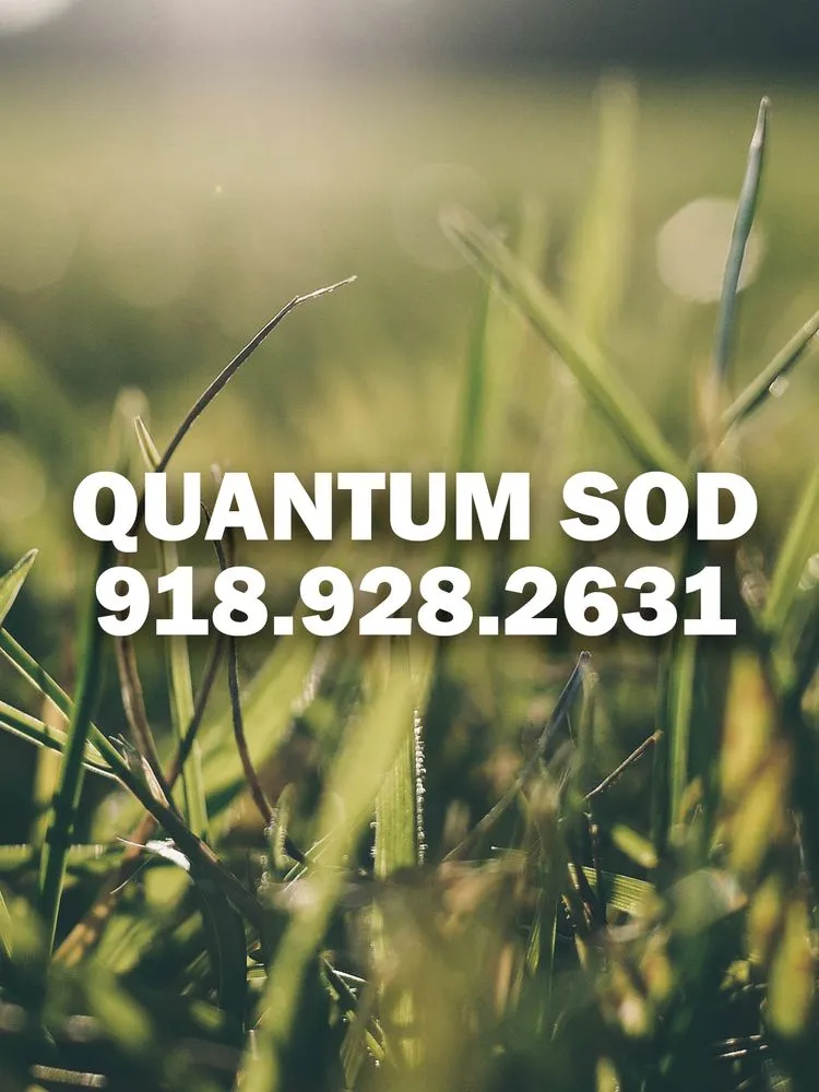 Trusted lawn care service experts serving Broken Arrow, OK - Quantum Sod