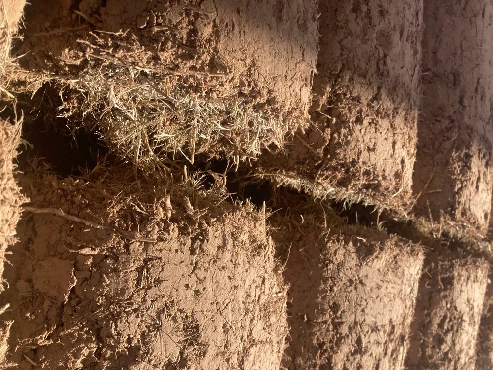 Professional lawn mowing service experts serving Tulsa, OK - Quantum Sod