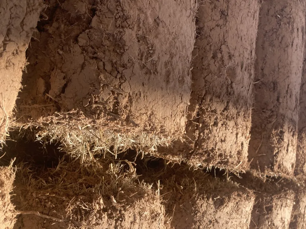 Custom outdoor landscaping in Tulsa, OK by Quantum Sod