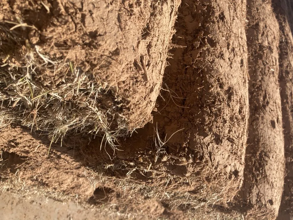 Local landscaping services for outdoor upgrades in Tulsa, OK by Quantum Sod