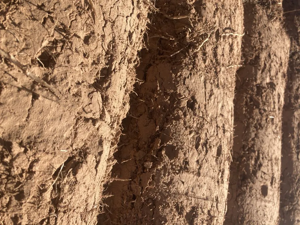 Custom garden landscaping for year-round maintenance in Tulsa, OK by Quantum Sod