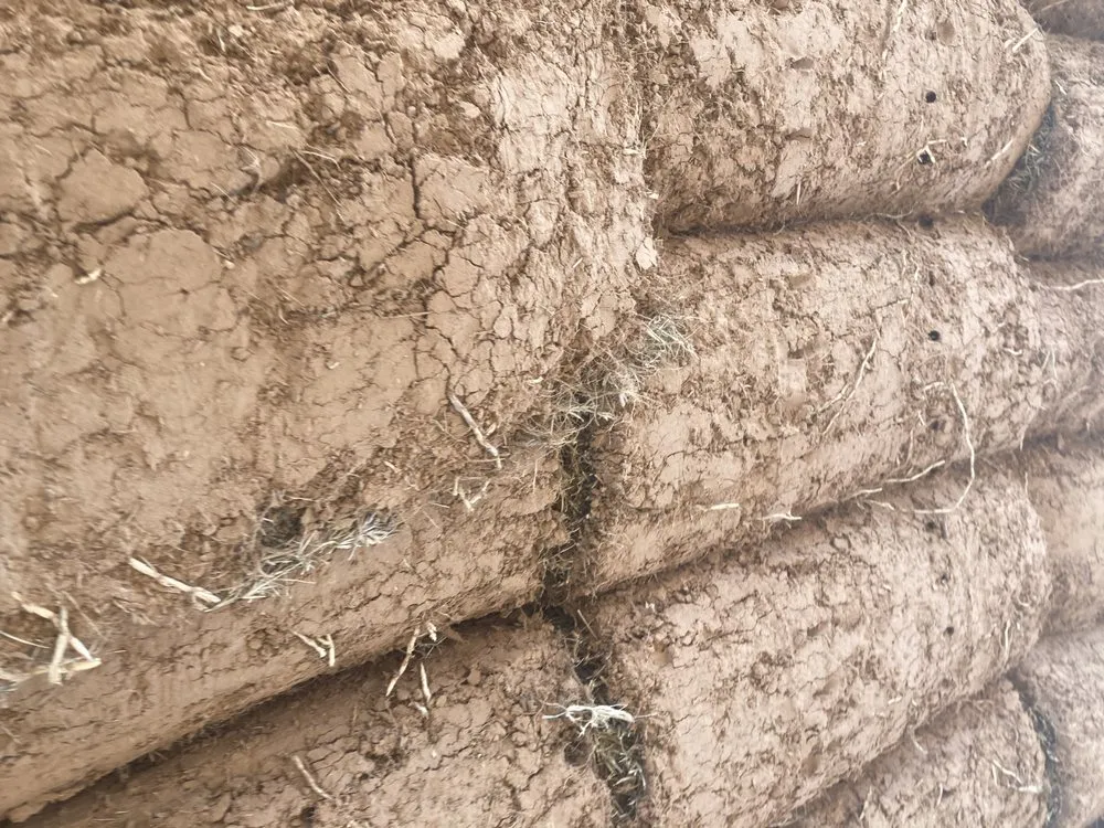 Local yard maintenance in Tulsa, OK - Quantum Sod