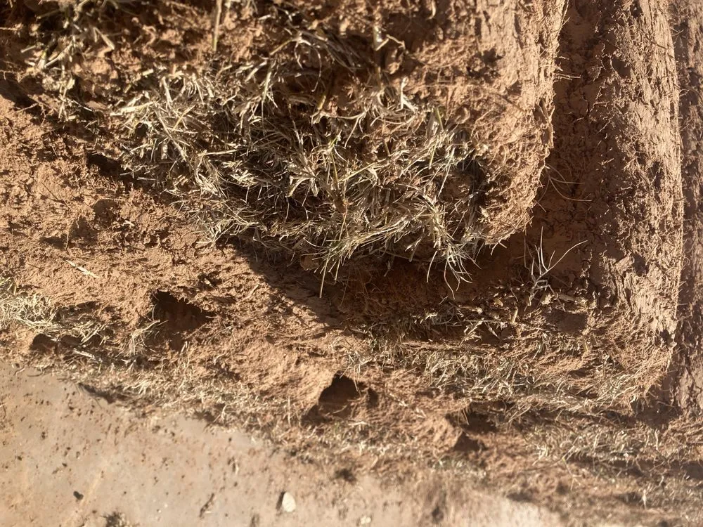 Expert landscaping services with custom design in Tulsa, OK by Quantum Sod