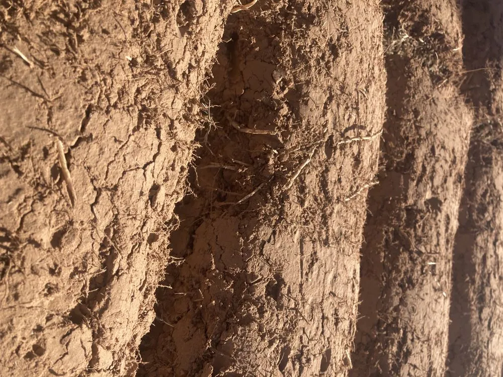 Affordable landscape installation in Tulsa, OK - Quantum Sod