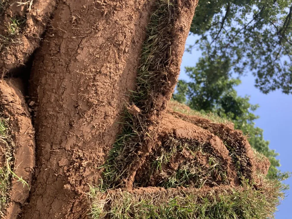 Local landscape design near you in Tulsa, OK by Quantum Sod